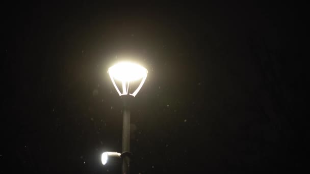 Incredibile nevicata di notte parco cittadino su sfondo lanterna chiara brillante inizio inverno pan girato. paesaggio urbano in serata. Meteorologia, Meteo, Fenomeni naturali, Buon Natale e Felice Anno Nuovo Concetto — Video Stock