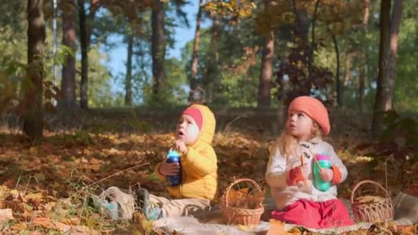 Auténticos pequeños y lindos hermanos preescolares caucásicos niños, niñas y niños comiendo a cuadros en hojas caídas de color amarillento en el parque de otoño o el bosque. El chico ha pasado tiempo en otoño. Naturaleza, Estación, Concepto de la infancia — Vídeos de Stock