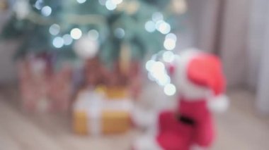 Noel Baba şapkası takan, kırmızı elbiseli, mutlu, mutlu, tombul bir kız çocuğu. Yeni yıl atmosferini kutlarken evdeki Noel ağacının yanında iyi eğlenceler. Çocukluk, bayram, kış konsepti