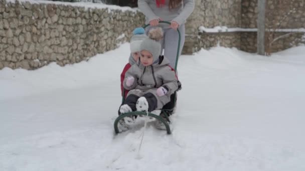 Tatil, oyun, aile kavramı, yavaş çekim otantik üç mutlu anaokulu çocuğu, genç Wonan annesi kızakla kayan ve karla oynayan kardeşleri. Soğuk mevsimde kar yağışı açık havada kış bahçesinde — Stok video