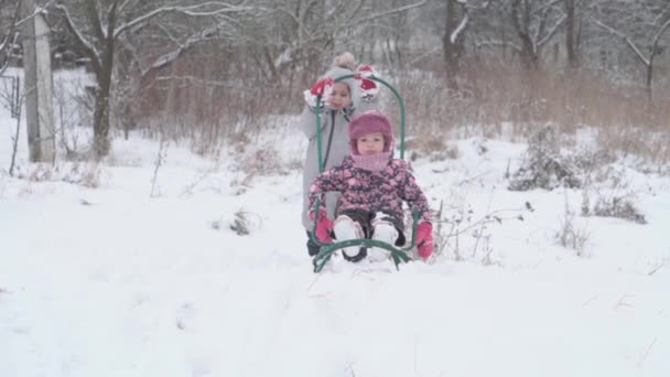 Wakacje, gra, koncepcja rodziny - slo-mo autentyczne Dwa szczęśliwe dzieci przedszkola rodzeństwo chłopiec i dziewczyna w kapeluszu i rękawice sanki i toczenia się po saniach. opady śniegu w lesie zimowym na zewnątrz — Wideo stockowe