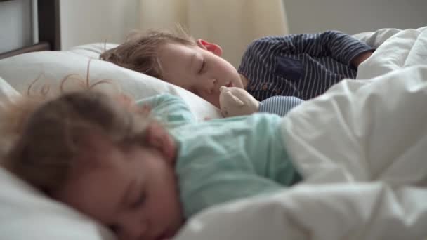 Authentic portrait cute caucasian little preschool siblings baby boy and girl in blue sleep with teddy bear on white bed. child resting at lunchtime. care, medicine and health, Childhood, life concept — Stock Video