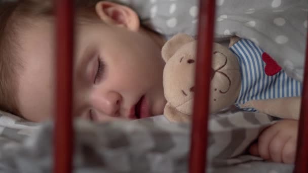 Cerrar auténtico lindo bebé regordete niña o niño dormir dulcemente en cuna con oso de peluche en el dormitorio durante el almuerzo. niño se acuesta en la cama gris. Infancia, paternidad, medicina, concepto de salud — Vídeo de stock