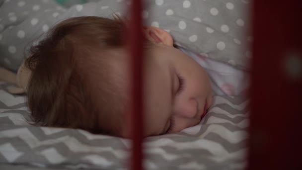 Close-up authentieke schattige kleine baby mollig meisje of jongen slapen zoet in wieg met teddybeer in de slaapkamer tijdens de lunch. kind ligt in grijs bed. Jeugd, ouderschap, geneeskunde, gezondheidsconcept — Stockvideo