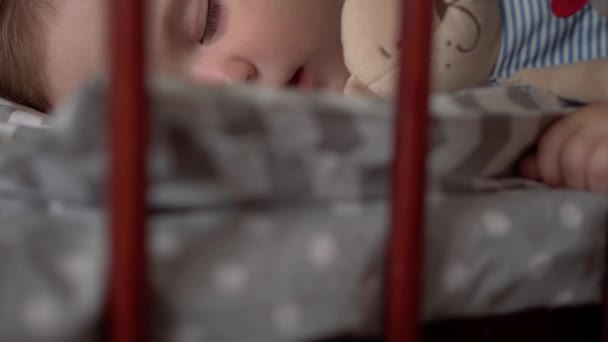 Close-up authentieke schattige kleine baby mollig meisje of jongen slapen zoet in wieg met teddybeer in de slaapkamer tijdens de lunch. kind ligt in grijs bed. Jeugd, ouderschap, geneeskunde, gezondheidsconcept — Stockvideo