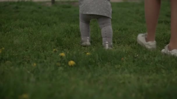 Νεαρή μητέρα μαθαίνει να περπατάει κοριτσάκι περπατώντας στο γρασίδι στο πάρκο της άνοιξης. Ευτυχισμένο παιδί βρέφος κάνει τα πρώτα βήματα Παίζοντας διασκεδάστε στο ηλιοβασίλεμα. Οικογενειακή παιδική ηλικία Ελεύθερος χρόνος εκτός φύσης — Αρχείο Βίντεο
