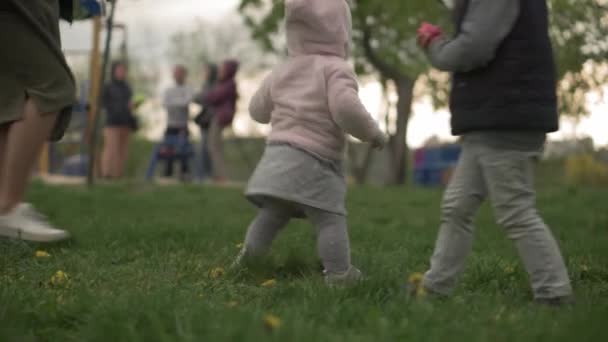 Молодая мама снимает на видео девочку, гуляющую по траве в весеннем парке. Счастливый довольно младенческий ребенок сделать первые шаги Играйте весело на закате. Детство Отдых Семья Время вне дома — стоковое видео