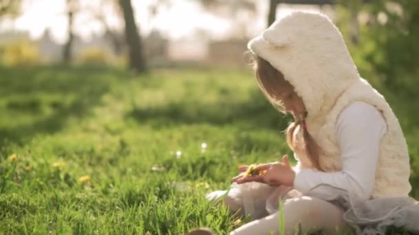 Little Toddler förskola Flicka i klänning Samlar gula maskros blommor sitter på grönt gräs i vårparken. Glad söt barnlek ha kul vid solnedgången. Barndom Fritid utomhus — Stockvideo