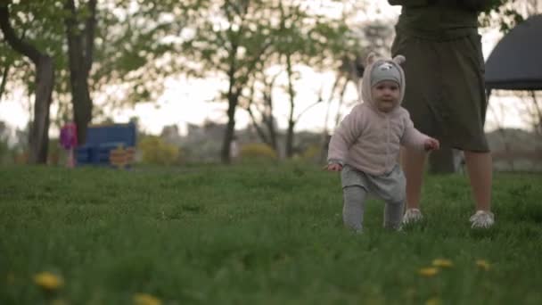 Молодая женщина мать собирает желтые цветы одуванчика с малышкой, гуляющей по траве в весеннем парке. Счастливый довольно младенческий ребенок сделать первые шаги Играйте весело на закате. Детский досуг — стоковое видео