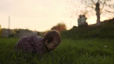Otantik, küçük, şirin bir kız bebek bahar günbatımında uzun çimenlerin üzerinde parkta yürüyor. Güneşin doğuşu sırasında doğada oyun oynayan çocuk Crawley çimenliği. Çocukluk, ebeveynlik, aile, yaşam tarzı konsepti