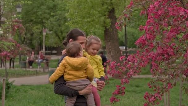 Gente en el parque. papá sostiene 2 niña niña en brazos cerca del manzano floreciente y olfateando flores. padres y niños divertidos caminando al aire libre al aire libre. Día del padre, infancia, concepto de paternidad — Vídeos de Stock