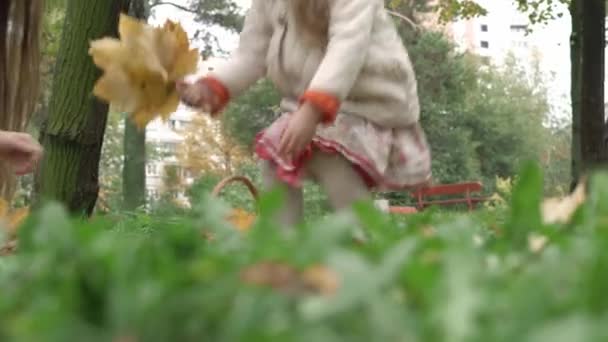 Barndom, familie, høstkonsept - liten blond førskolejente med løst langt hår 3-4 år i appelsinberet samler gule blader fra grønt gress i kurv i parkering i tåkete vær – stockvideo
