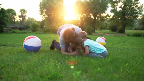 Papa avec de petits enfants d'âge préscolaire jeux amusez-vous explorer la nature chercher des plantes, insectes dans l'herbe dans le parc au coucher du soleil été, famille heureuse, enfance, paternité, fête des pères, recherche, exploration — Video