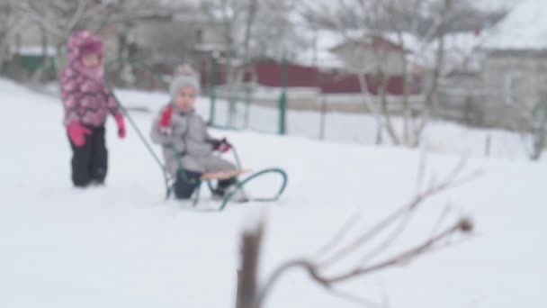 Διακοπές, παιχνίδι, οικογενειακή έννοια - slo-mo αυθεντικό Δύο ευτυχισμένα παιδιά προσχολικής ηλικίας αδέλφια σε καπέλα και γάντια έλκηθρο και τροχαίο ο ένας τον άλλον. χιονόπτωση σε κρύο καιρό εποχής σε εξωτερικούς χώρους χειμερινού πάρκου — Αρχείο Βίντεο