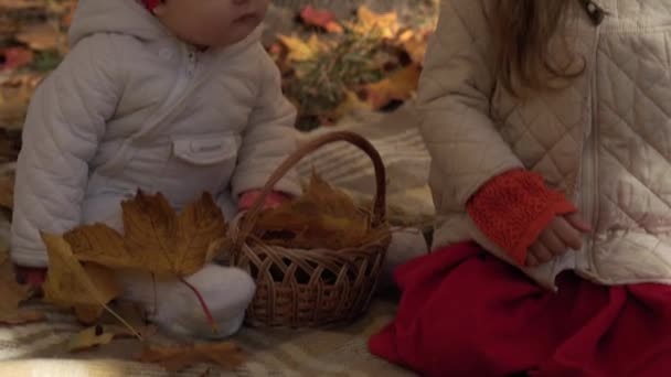 Authentische kleine niedliche kaukasische Vorschulkinder Mädchen Säuglingsschwestern in fallenden gelben Blättern im Herbst Park oder Wald. Kinder haben Zeit. Familie im Herbst. Natur, Jahreszeit, Kindheitskonzept — Stockvideo