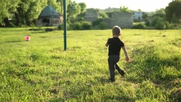 Yaz, tatil, doğa, mutlu aile, çocukluk, arkadaşlık - iki küçük çocuk anaokulu çocuğu kardeş kardeş koşuyor büyük şişirilebilir top yakalama ile iyi eğlenceler gün batımında çimenlerin üzerinde — Stok video