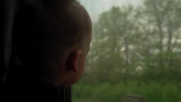 Nahaufnahme kleine Vorschulkind niedlichen Jungen Blick aus dem Zugfenster. Blick vom Hochgeschwindigkeitszug auf die Landschaft des schönen Naturfeldes vor Sonnenuntergang. Verkehr, Reisen, Straße, Schiene, Vernetzungskonzept — Stockvideo