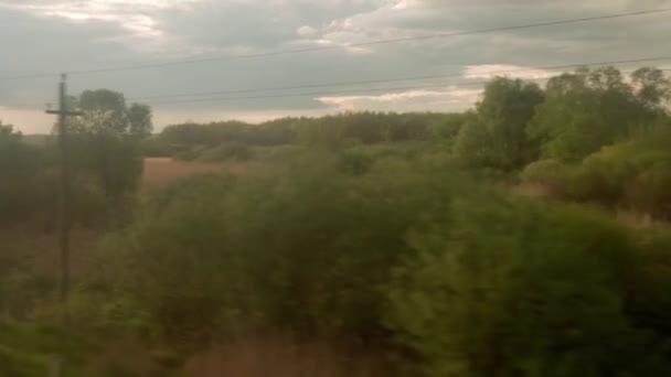 Вид из окна скоростного поезда на пейзаж красивой природы дикого поля и леса на вечернем облачном закате неба на летнем фоне. Концепция транспорта, путешествий, железных дорог, коммуникаций — стоковое видео