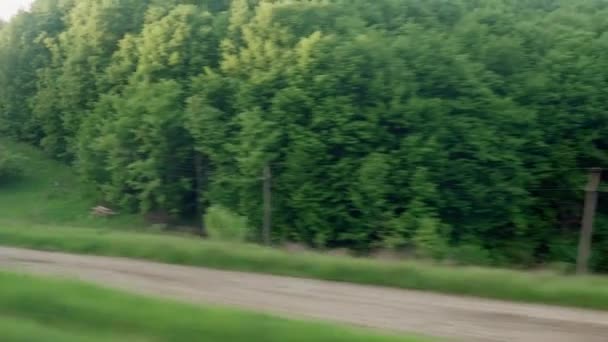 Vista de janela de trem de velocidade com brilho em vidro e carris paralelos em paisagem de prados e floresta antes do pôr do sol em fundo de verão. Transporte, viagens, estrada, ferrovia, conceito de comnicação — Vídeo de Stock