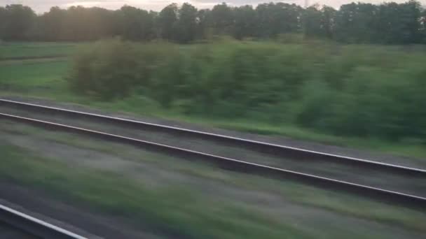Vue de fenêtre de train de vitesse avec éblouissement sur verre et rails parallèles sur le paysage des prairies et de la forêt avant le coucher du soleil en arrière-plan d'été. Transport, voyage, route, chemin de fer, concept de communication — Video