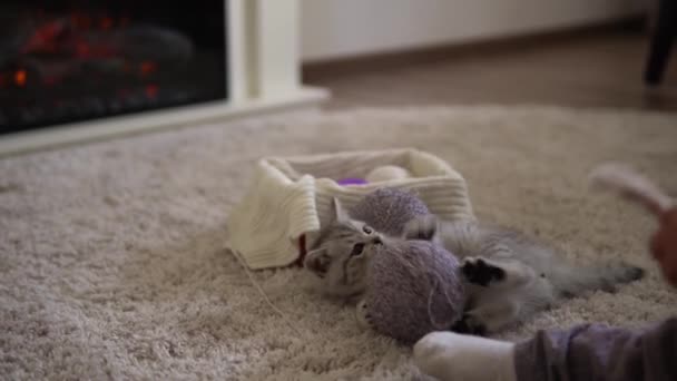 Dziecko bawiące się kotem. kocur na dywanie w pobliżu płonącego kominka w domu komfort. paski kotek grać z kulą nici. Kotek ucieka patrząc w kamerę. szczęśliwy uroczy zwierzak, dzieciństwo, dzika natura koncepcja — Wideo stockowe