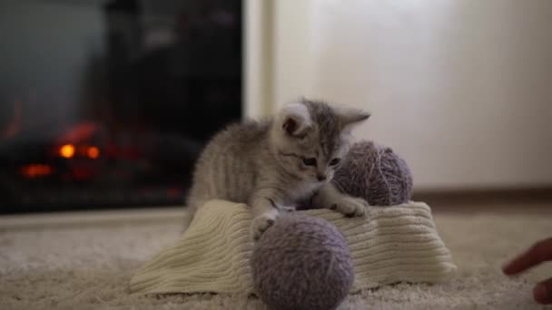 Emberi kéz játszik macskával. Tomcat a szőnyegen közel égő kandalló otthon. csíkos cica játék labda cérna. Kitty a kamerába néz. boldog imádnivaló háziállat, gyermekkor, vad természet koncepció — Stock videók