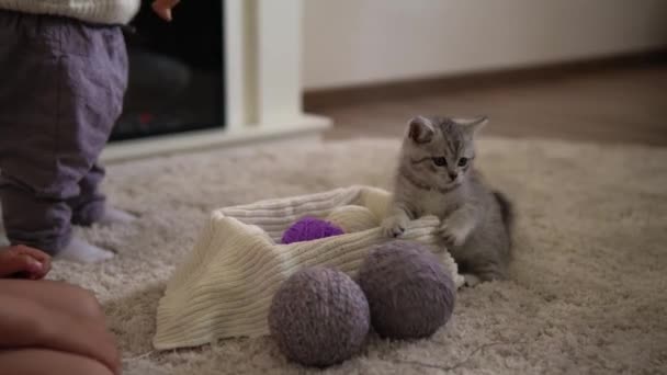 Bebé jugando con el gato. tomcat en la alfombra cerca de chimenea en casa comodidad. gatito rayado jugar con bola de hilo. Kitty corre mirando la cámara. feliz mascota adorable, infancia, concepto de naturaleza salvaje — Vídeos de Stock