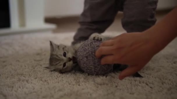 Ludzka ręka bawiąca się kotem. kocur na dywanie przy paleniu kominka w domu. paski kotek grać z kulą nici. Kotek ucieka patrząc w kamerę. szczęśliwy urocze zwierzęta domowe, dzieciństwo, dzika natura koncepcja — Wideo stockowe