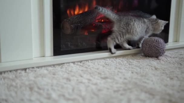 婴儿和猫玩耍。毛猫躺在地毯上，靠近燃烧的壁炉，舒适地呆在家里。带条纹的小猫玩线球。猫咪一边跑一边看着摄像机。快乐可爱的宠物，童年，野性的概念 — 图库视频影像