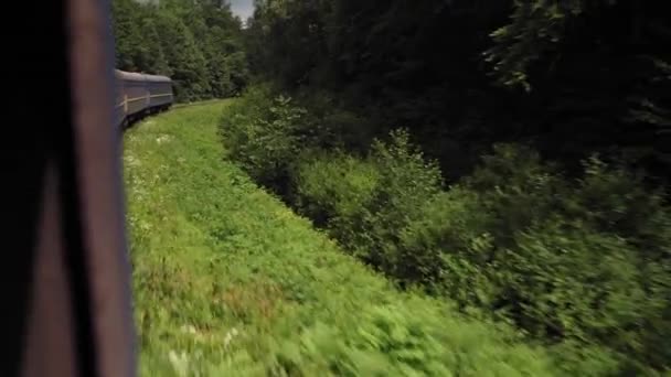 Πλαϊνή άποψη της υψηλής ταχύτητας στροφή τρένο για το τοπίο της όμορφης φύσης άγριο πεδίο και τα βουνά δάσος σε καθαρή ηλιόλουστη μέρα στο φόντο το καλοκαίρι. Μεταφορές, ταξίδια, σιδηρόδρομοι, επικοινωνία — Αρχείο Βίντεο
