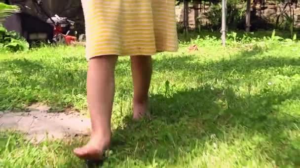 Zbliżenie stóp dziecka boso chodzić po zielonej trawie trawnik podwórka lub ogrodu. Dziecko w zwolnionym tempie chodzi po łące bez butów. Dzieci bawią się w parku w upalne lato. Dzieciństwo, rodzina, powołanie, koncepcja sportu — Wideo stockowe