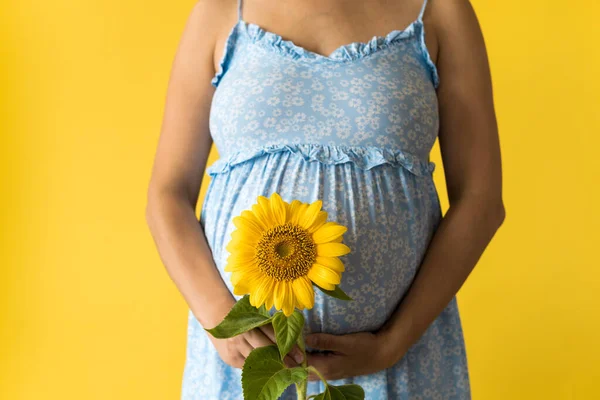 Keibuan, keibuan, kewanitaan, musim panas, alam, orang-orang Potret wanita hamil tak dikenal dalam gaun biru floral terus bunga hidup besar segar dekat perut pada latar belakang kuning — Stok Foto