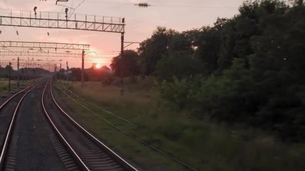 Вид з вікна високошвидкісний поїзд на ландшафт красивої природи дикого поля і лісових залізничних колій рейки на вечірній захід сонця на літньому тлі. Транспорт, подорожі, залізниця, концепція зв'язку — стокове відео