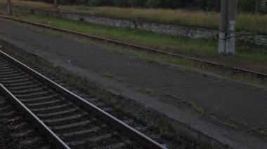 Pencereden yüksek hızlı tren manzarası güzel doğa manzarası vahşi arazi ve orman rayları yaz arkaplanında akşam günbatımında tren rayları. Ulaşım, seyahat, demiryolu, iletişim konsepti