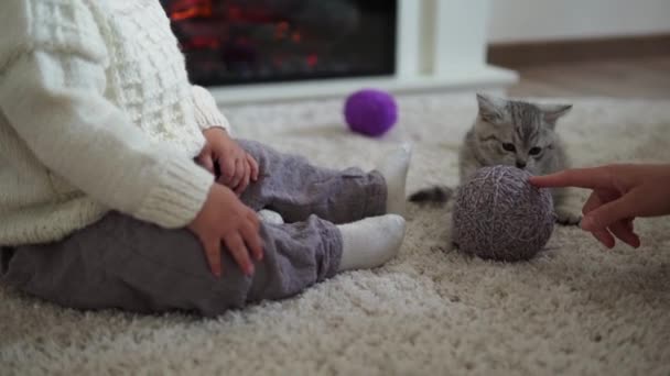 Bebé jugando con el gato. tomcat en la alfombra cerca de chimenea en casa comodidad. gatito rayado jugar con bola de hilo. Kitty corre mirando la cámara. feliz mascota adorable, infancia, concepto de naturaleza salvaje — Vídeo de stock