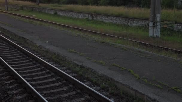 Вид из окна скоростного поезда на пейзаж красивой природы дикого поля и лесных железнодорожных путей рельсы на вечернем закате на летнем фоне. Концепция транспорта, путешествий, железных дорог, коммуникаций — стоковое видео