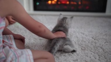 Bebek kediyle oynuyor. Erkek kedi halının üstünde, şöminenin yanında, konforunda. Çizgili kedi yavrusu iplik yumağıyla oynuyor. Kitty kameraya bakarak koş. Mutlu sevimli hayvan, çocukluk, vahşi doğa konsepti