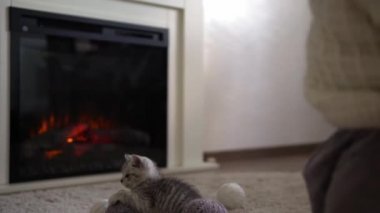 Bebek kediyle oynuyor. Erkek kedi halının üstünde, şöminenin yanında, konforunda. Çizgili kedi yavrusu iplik yumağıyla oynuyor. Kitty kameraya bakarak koş. Mutlu sevimli hayvan, çocukluk, vahşi doğa konsepti