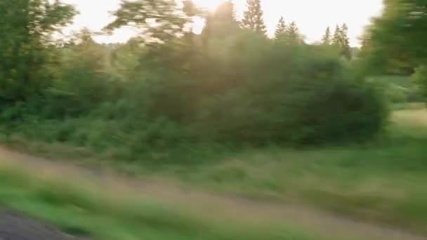 View from window of high-speed train on landscape of beautiful nature wild field and forest on evening cloudy dusk sky sunset in summer background. Transport, travel, railway, communication concept — Stock Video