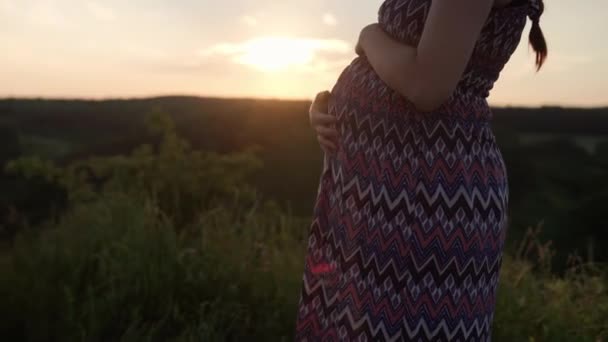 Gelukkige zwangere vrouw raakt haar buik op de top van de berg in hoog gras voor zonsondergang. zorgzame moeder streelt grote buik met handen. zwangerschap, moederschap, mensen, verwachting, zomerconcept — Stockvideo