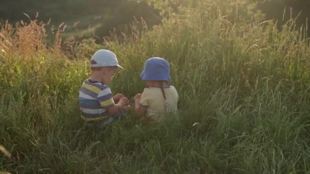 Carino prescolastica bambina e ragazzo seduto sulla cima della montagna in erba alta prima del tramonto. Bambino che cammina in un prato selvaggio. Ragazzo felice sulle montagne. infanzia, natura, stile di vita, concetto estivo — Video Stock