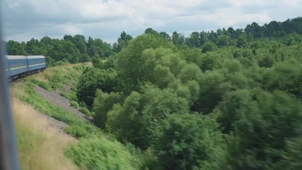 Side view of high-speed turning train on landscape of beautiful nature wild field and mountains forest on clean sunny day in summer background. Transport, travel, railway, communication concept — Stock Video