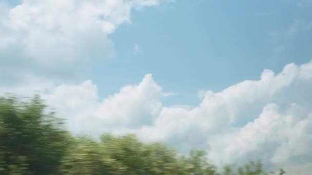 Вид из окна скоростного поезда на пейзаж красивой природы дикого поля и горного леса в облачный чистый солнечный день на летнем фоне. Концепция транспорта, путешествий, железных дорог, коммуникаций — стоковое видео