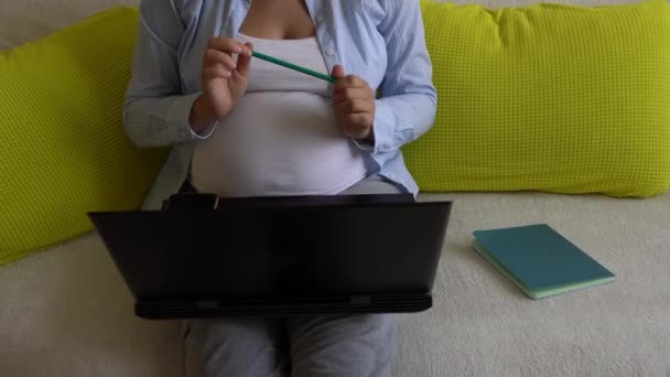 Úspěšná tvrdě pracující Těhotná obchodní žena s notebookem a Noutbook. Young Ledy In Pregnancy Work pořádá on-line konferenční lekci Remote Using Technology At Home. Koncept mateřské dovolené — Stock video