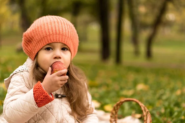"Close Up Portrait Of Little Cute Preschool Minor Girl In Orange Beret On Yellow Fallen Leaves Eats Red Apple Look At Camera Cold Weather In Fall Park". Дитинство, сім "я, материнство, осіннє розуміння — стокове фото