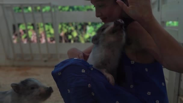 Το κορίτσι κρατάει το διακοσμητικό γουρούνι στην αγκαλιά του. Χαριτωμένα μικρά παιδιά βλέποντας τα ζώα έχουν τη διασκέδαση περνούν το χρόνο τους στο ζωολογικό κήπο επαφής. Ευτυχισμένο οικογενειακό ταξίδι για να επισκεφθείτε σίτιση Άγρια και Κατοικίδια ζώα στο σπίτι Farm. Έννοια φύσης — Αρχείο Βίντεο