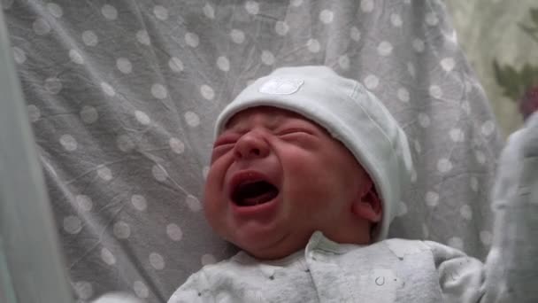 Νεογέννητο μωρό κόκκινο χαριτωμένο πορτρέτο πρόσωπο νωρίς ημέρες κλάμα σε ιατρικό γυάλινο κρεβάτι σε γκρι φόντο. Παιδί στην αρχή λεπτά της ζωής στο καπέλο. Βρέφη, Τοκετός, Πρώτες Στιγμές της Γέννησης, Έννοια Αρχή — Αρχείο Βίντεο