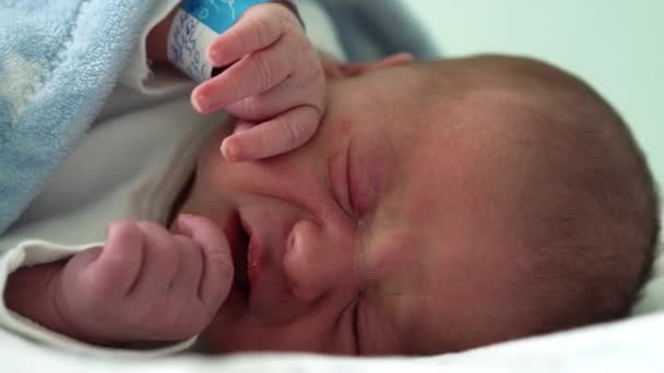 Close-up do retrato bonito da cara vermelha do bebê recém-nascido nos primeiros dias em Macro chorando em fundo azul. Criança no início minutos de vida no chapéu. Bebês, Parto, Primeiros Momentos de Borning, Princípio de Início — Vídeo de Stock