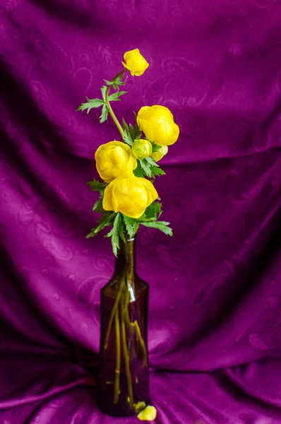 Žluté květy ve váze na fialovém pozadí — Stock fotografie
