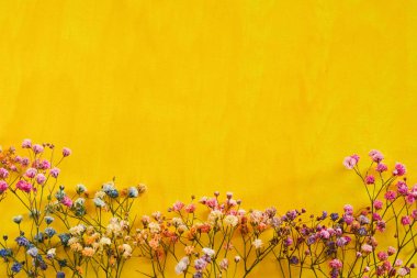 Renkli Hassas Çiçekler Parlak Sarı Arkaplan Anneleri Günü Çiçek Düzlüğü